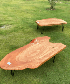 Sofa Gỗ Tự Nhiên